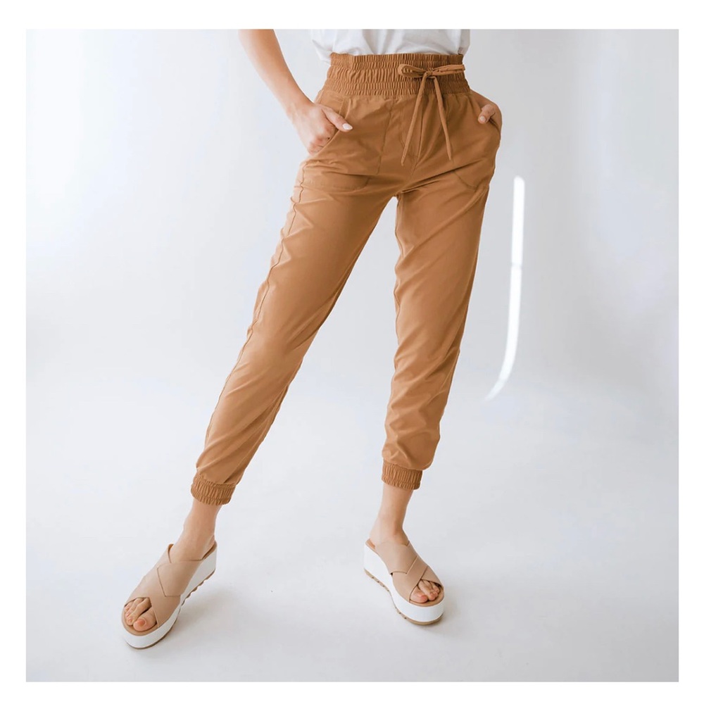 Albion fit - destination joggers